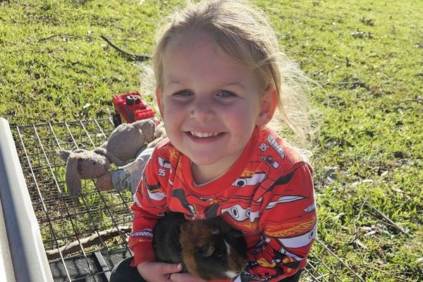 Willow and his family thank you