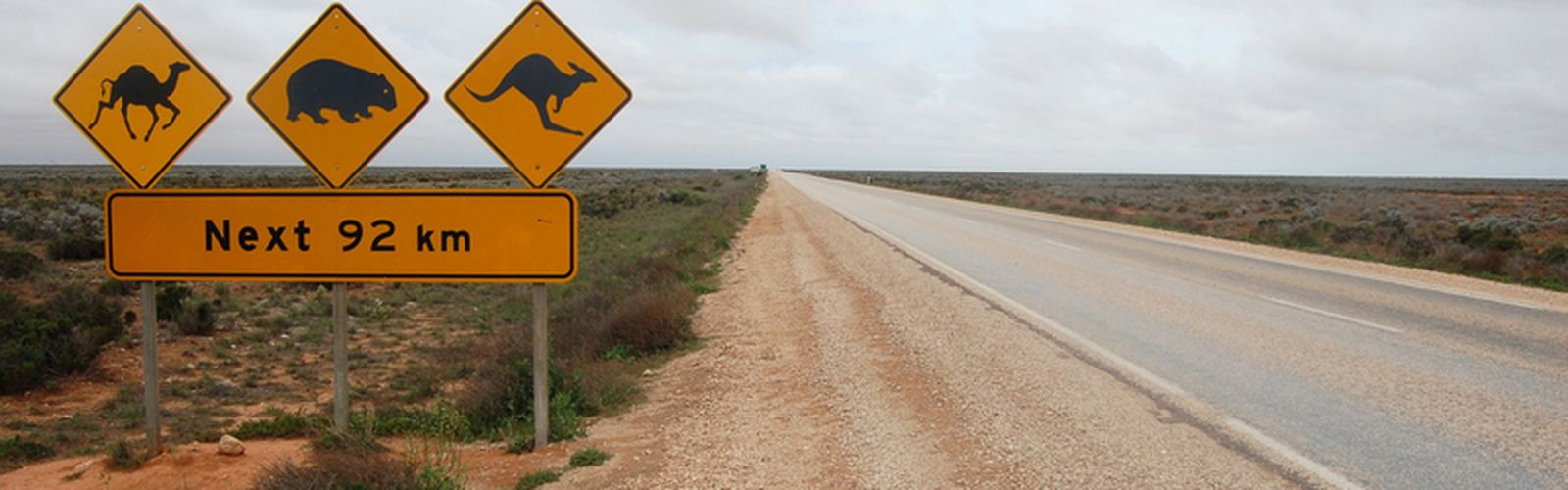 The Flying Doctor Podcast soars high