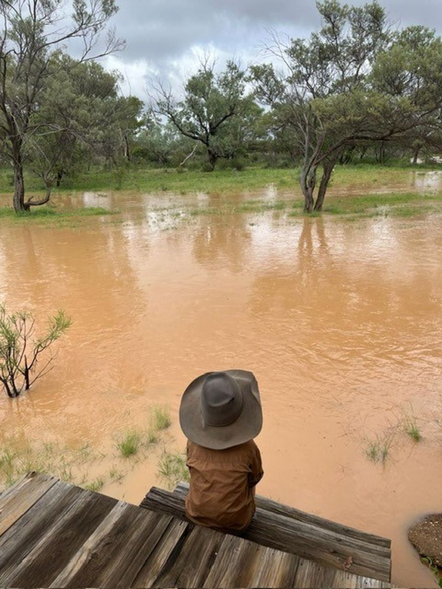 Judy Treloar flood waters