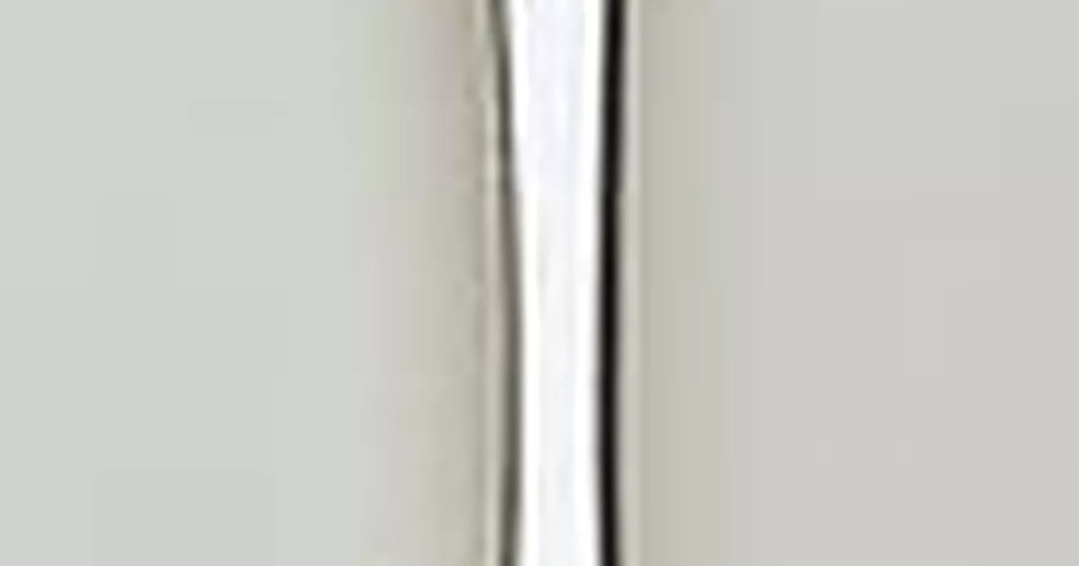 Spoon - AGSA Collection