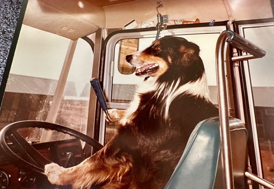 jane oakley marla giving the children a break on the old stuart highway on a 12 hour road trip to Adelaide