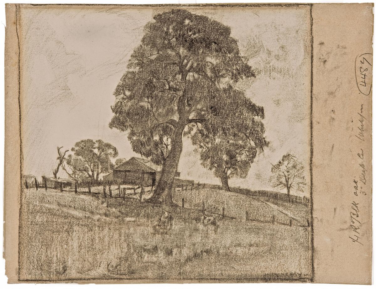 Landscape Mt Barker AGSA Collection