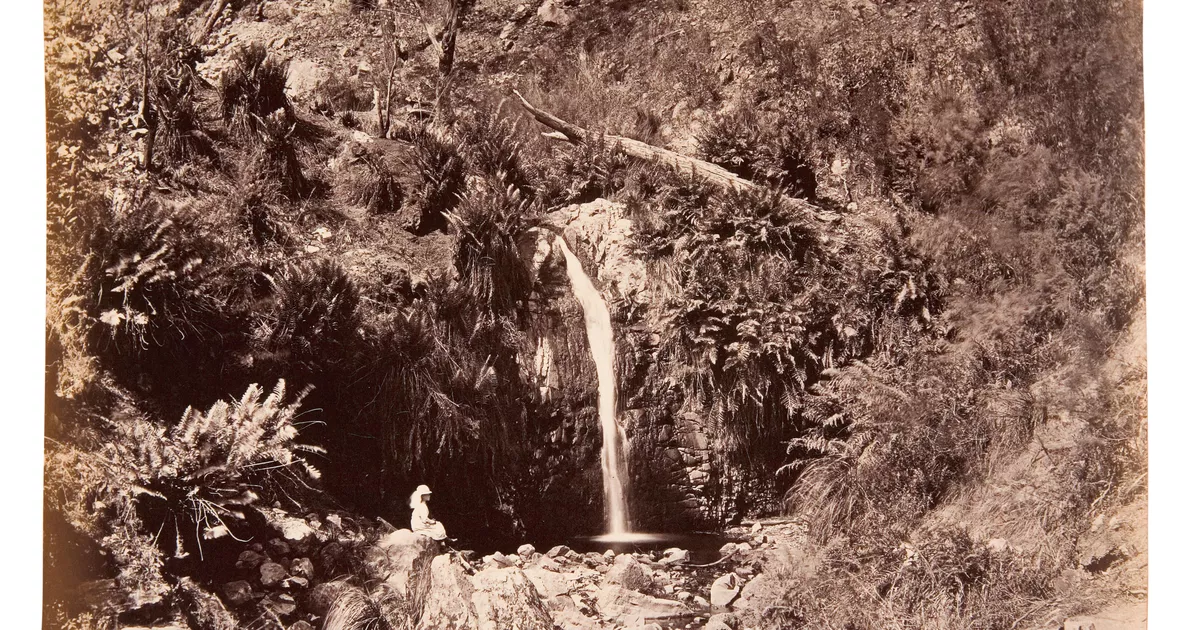 Second waterfall, First creek - AGSA Collection
