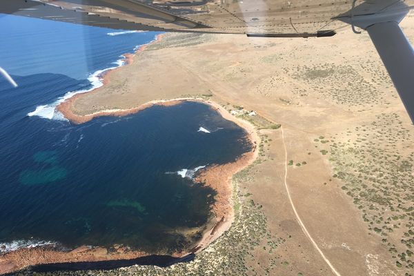 Peter Woolford stroke victim story