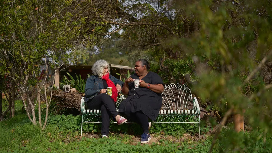 Tarnanthi on Tour: Saltbush Country - AGSA