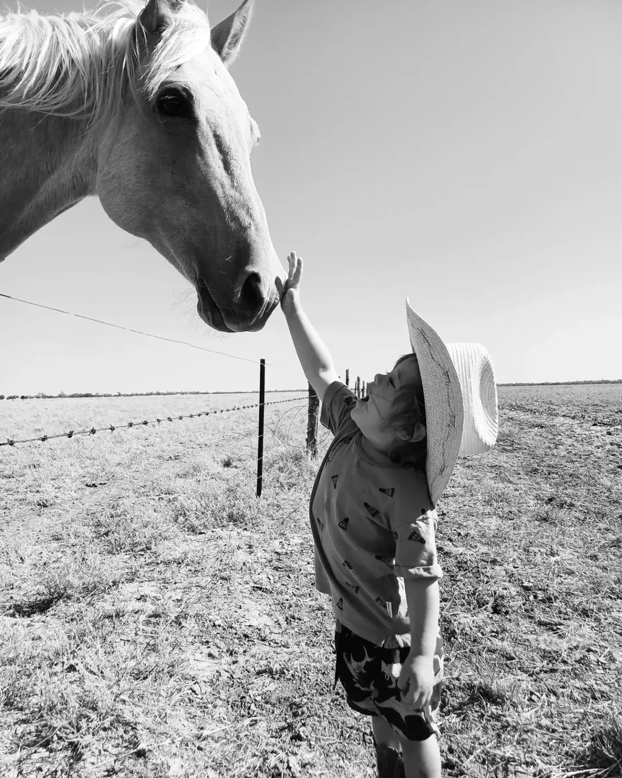 child with a horse