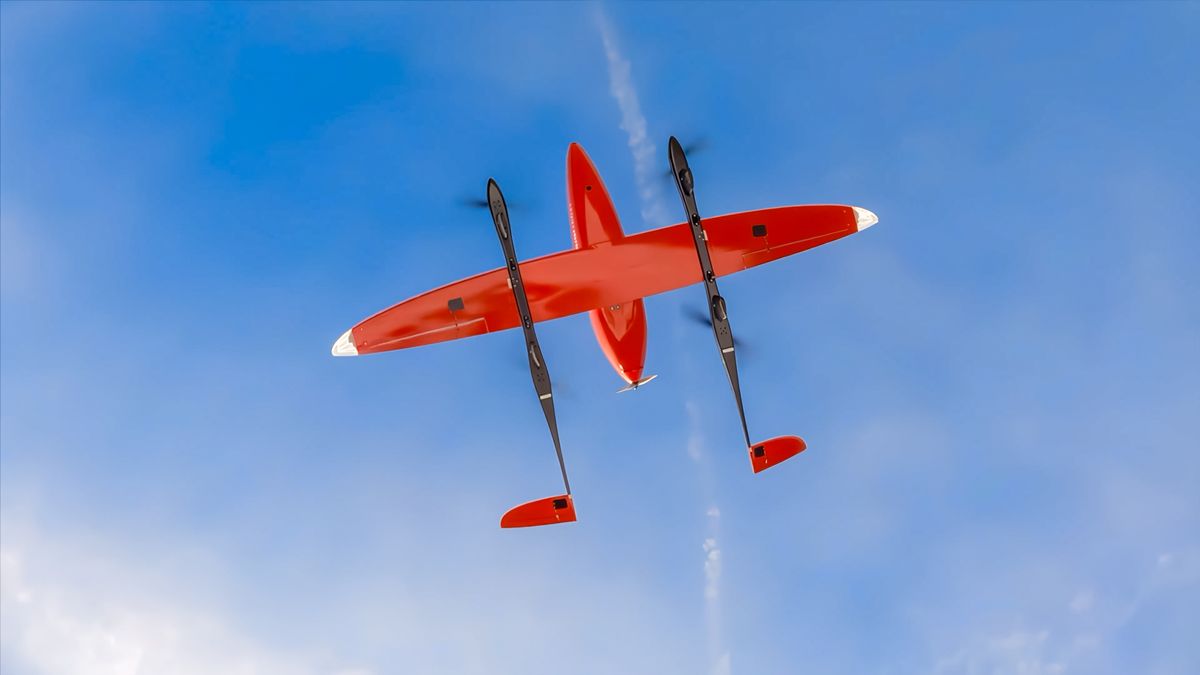 BiBi Plane