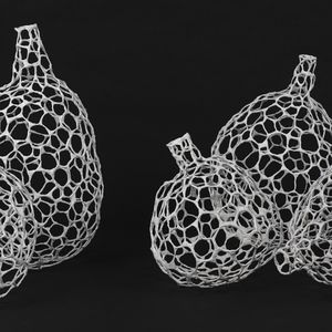 white mesh fruit shapes on a black background