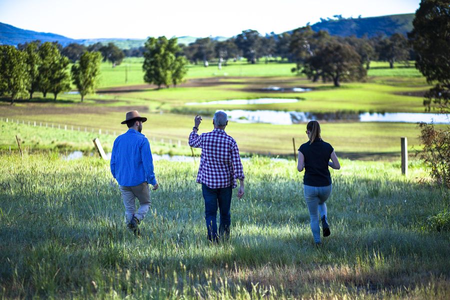 Three people walk away into a green field