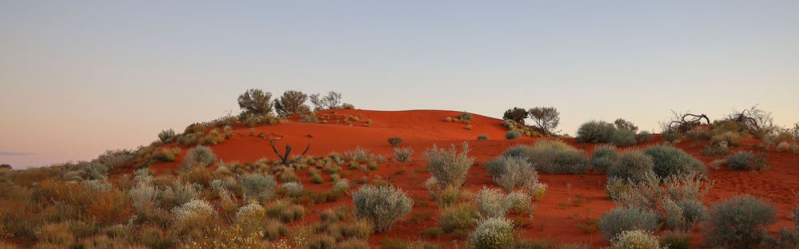Aunty Joyce Crombie donating artwork to the RFDS