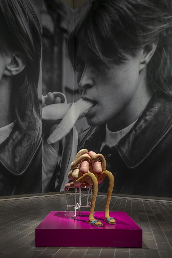 Installation view of Project 1: Sarah Lucas exhibition