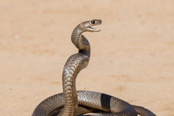 Aircraft landing in the outback 
