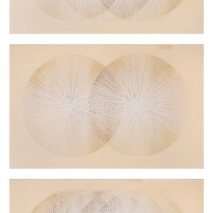 Three distinct images of circles. A collection of three hanging artworks, each featuring unique and varied designs, hanging on a white wall.