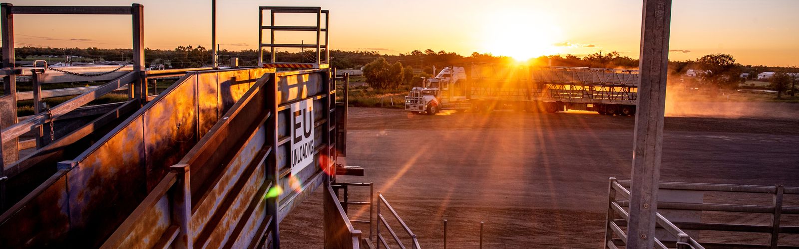 The Royal Flying Doctor Service is thrilled to return to the Roma Saleyards for the first charity sale in 2023.
