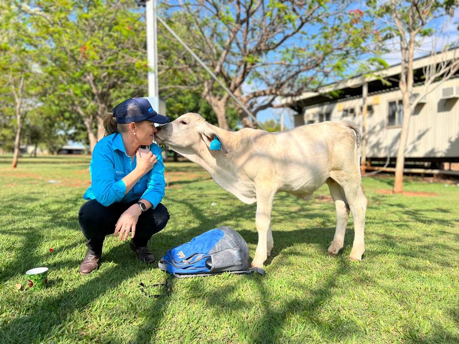 Tracey with calf