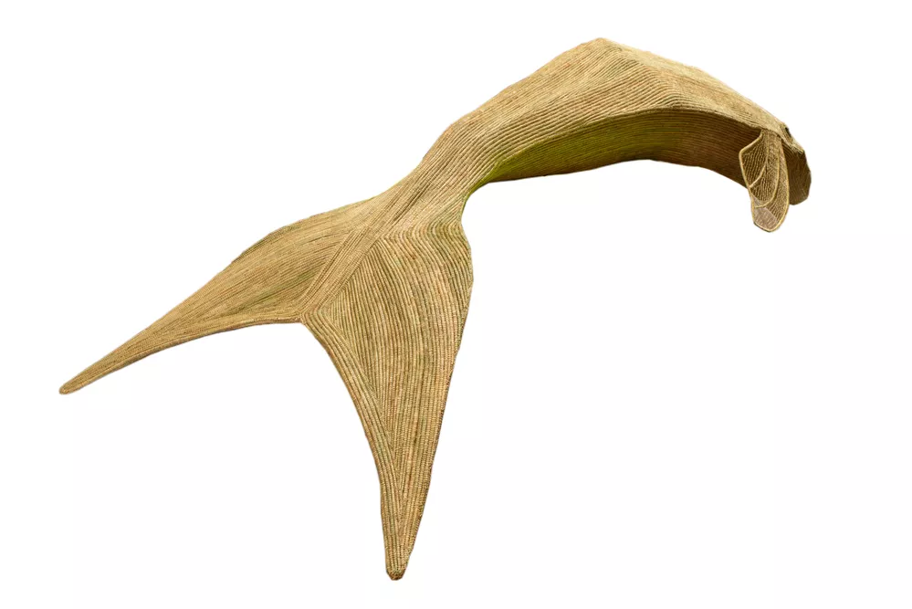 Aunty Ellen Trevorrow, Ngarrindjeri people, South Australia, born 1955, Meningie, South Australia, Bruce Trevorrow, Ngarrindjeri people, South Australia, Jelina Haines, Bessie Rigney, Ngarrindjeri people, South Australia, Luke Trevorrow, Ngarrindjeri people, South Australia, Kondoli: the Keeper of Fire, 2019, Meningie, South Australia, rushes, metal, shell, 440.0 x 120.0 x 160.0 cm; © the artists/Ngarrindjeri Eco Art Co-op, photo: South Australian Museum.