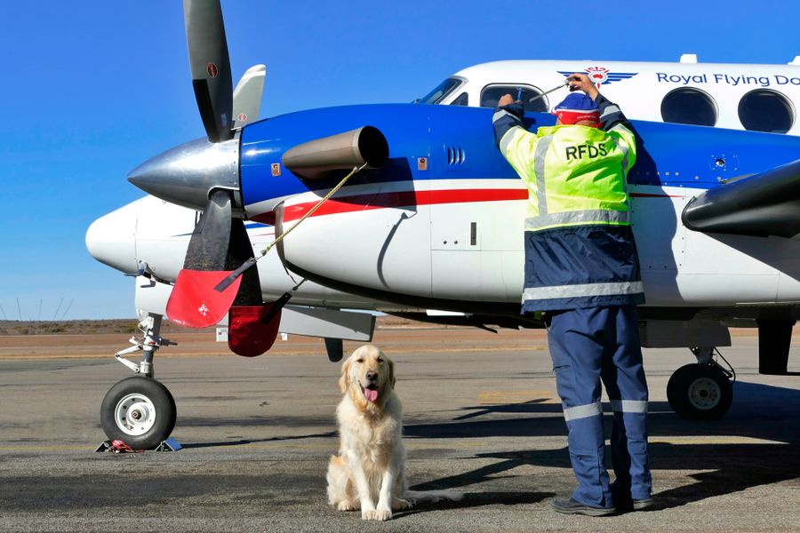 Fly Dog Aaron on duty at the RFDS in Broken Hill