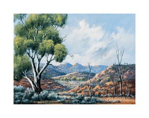 Image of Gum Vale Station - the gorge