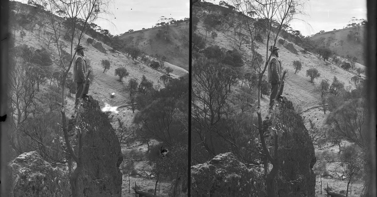 The monument, Spring Gully - AGSA Collection