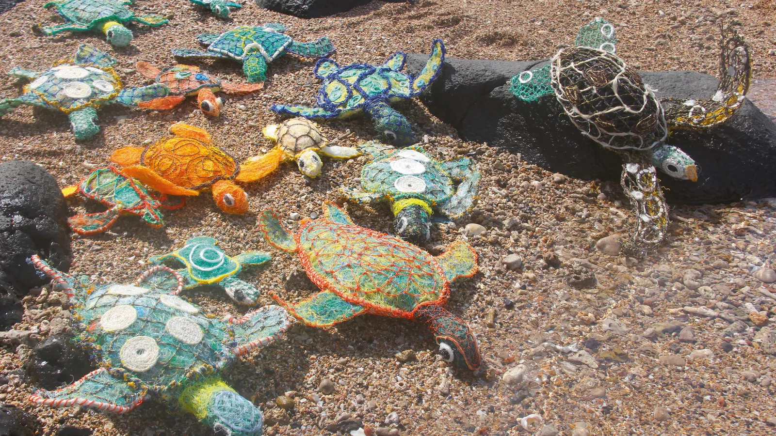 Meet Erub Arts: Transforming Waste into Wonder