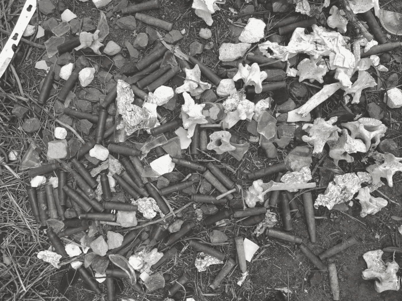 Bullets and Bones