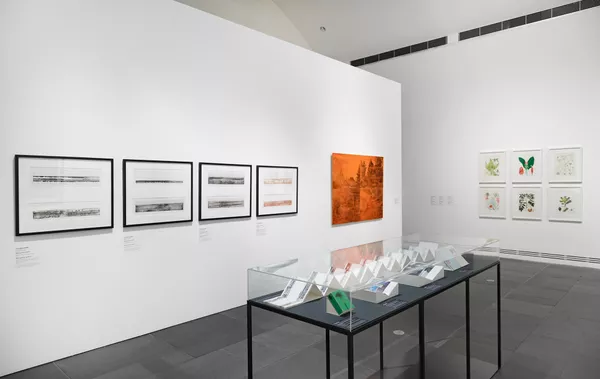 installation view: Ways of seeing, Art Gallery of South Australia, Adelaide, 2019; photo: Saul Steed.