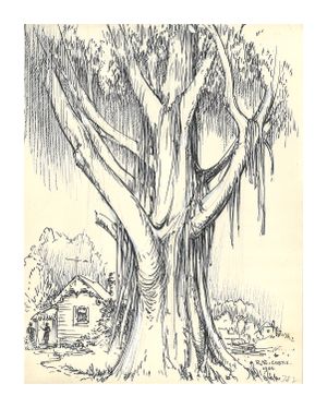 Image of Tree and house