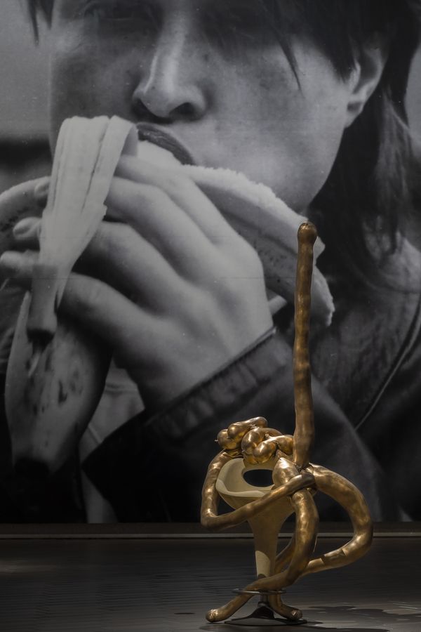 Installation view of Project 1: Sarah Lucas exhibition