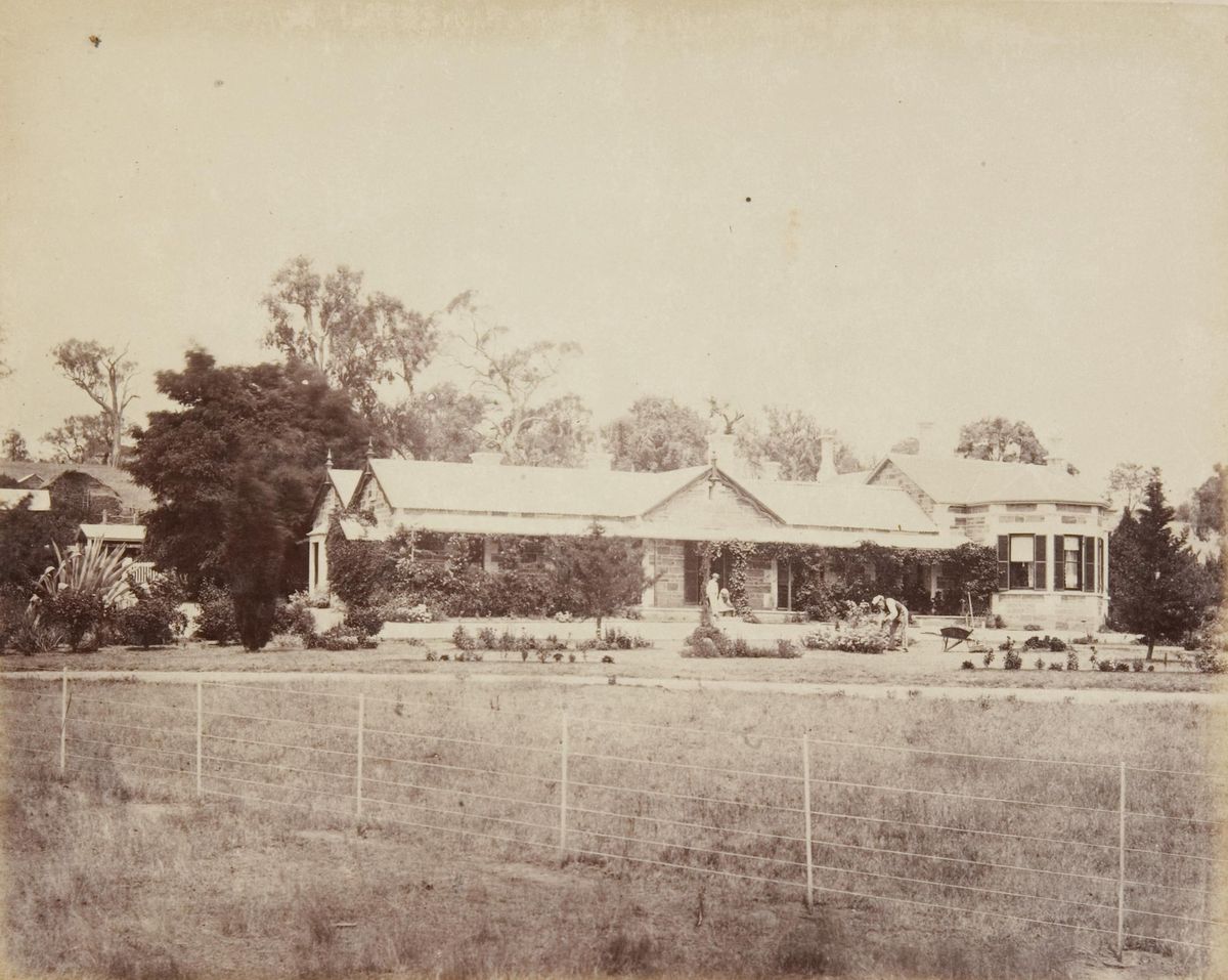 Collingrove, near Adelaide, South Australia - AGSA Collection