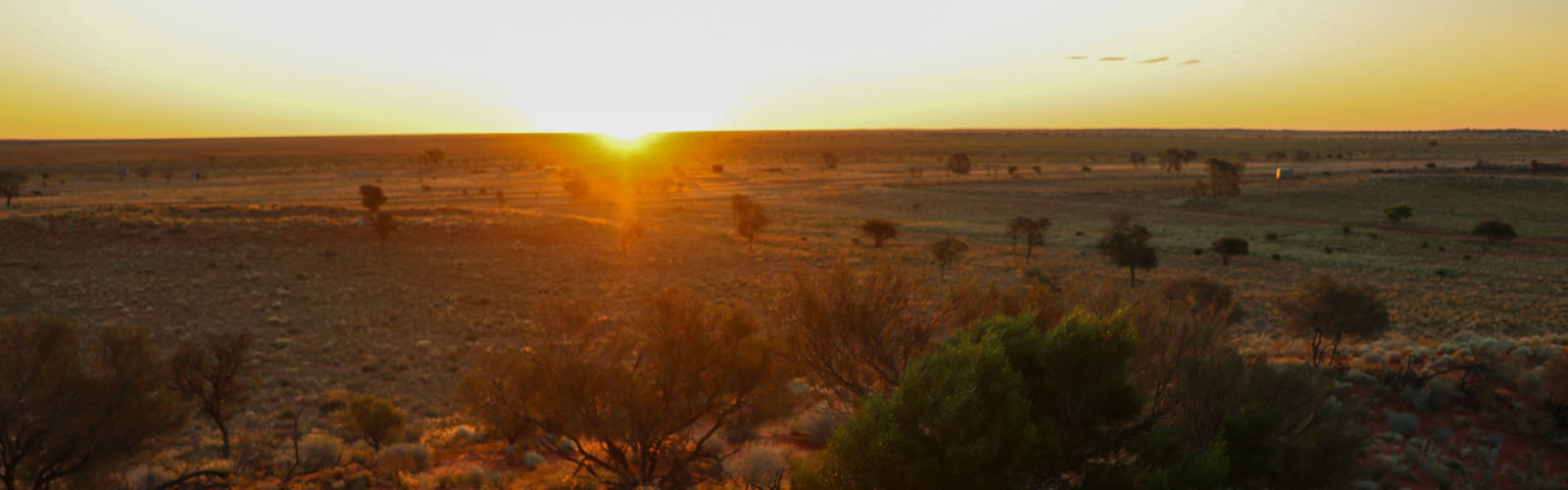 outback scenery 