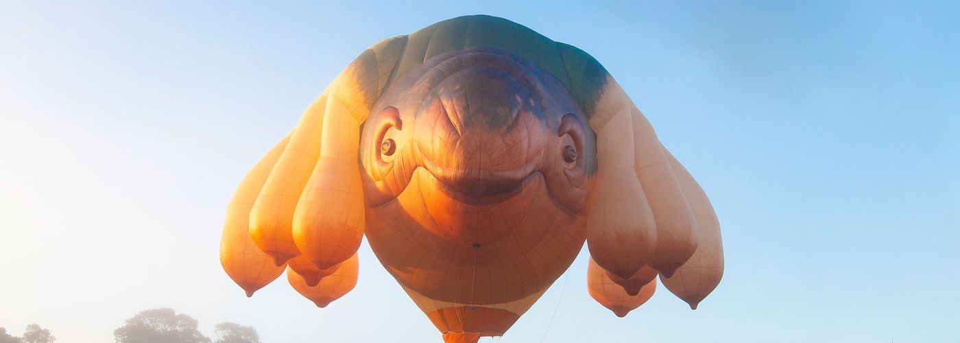 image of Skywhale hot air balloon floating