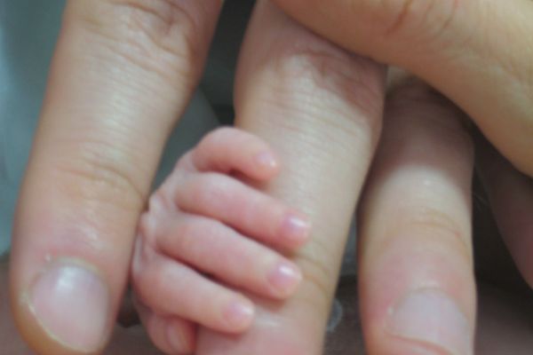 The tiny fingers of a premature baby enclose a mother's hand