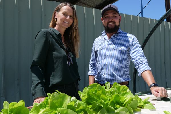 GROW supports communities