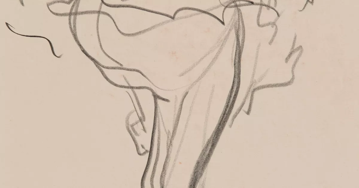 Back view of ballet dancer - AGSA Collection