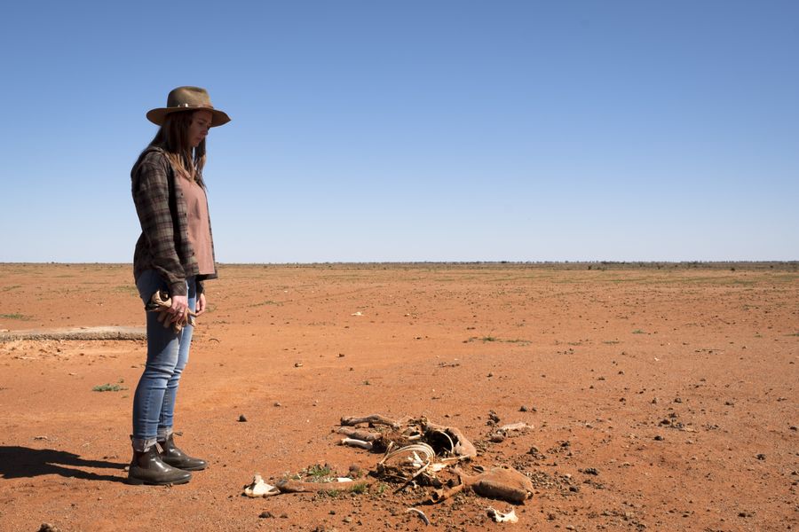 RFDS Season 2
