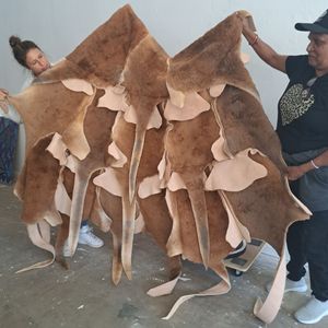 Two women holding up a kangaroo skin cloak made of many skins stitched together