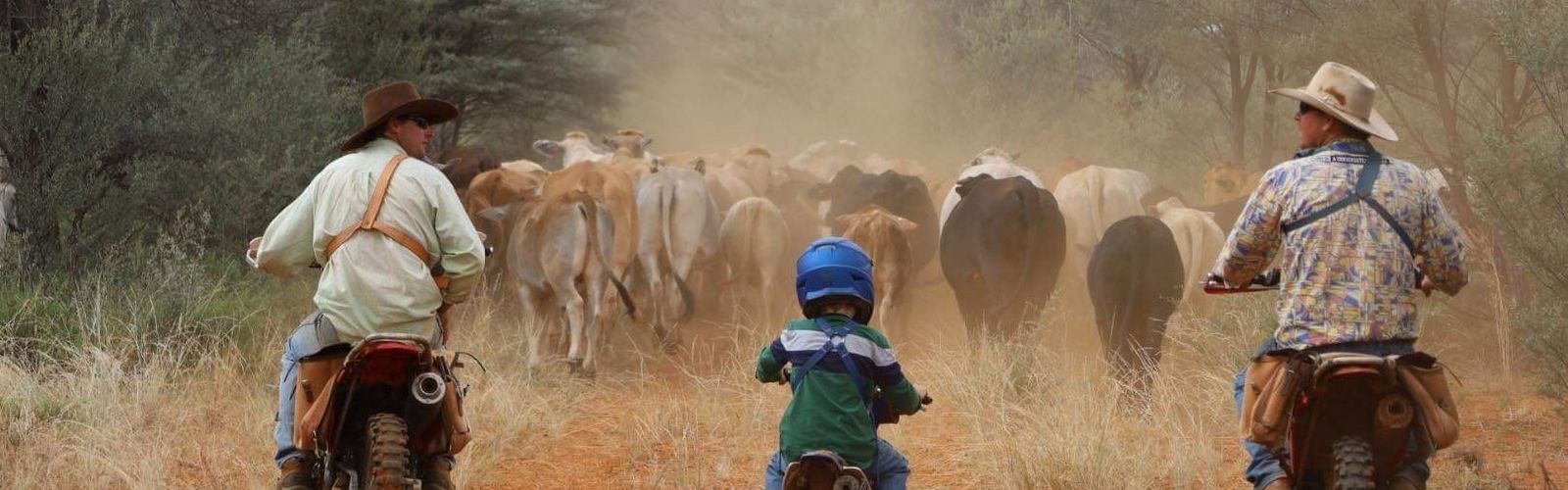 Judy Treloar's grandsons on the farm