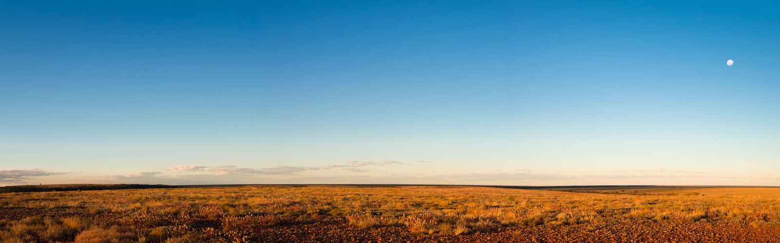 Stewart and Rhonda at home