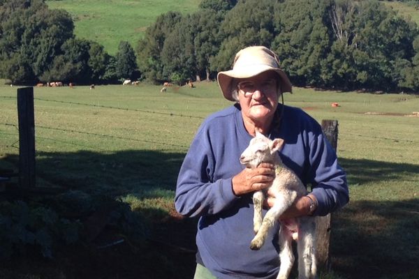 Image of a family on the edge