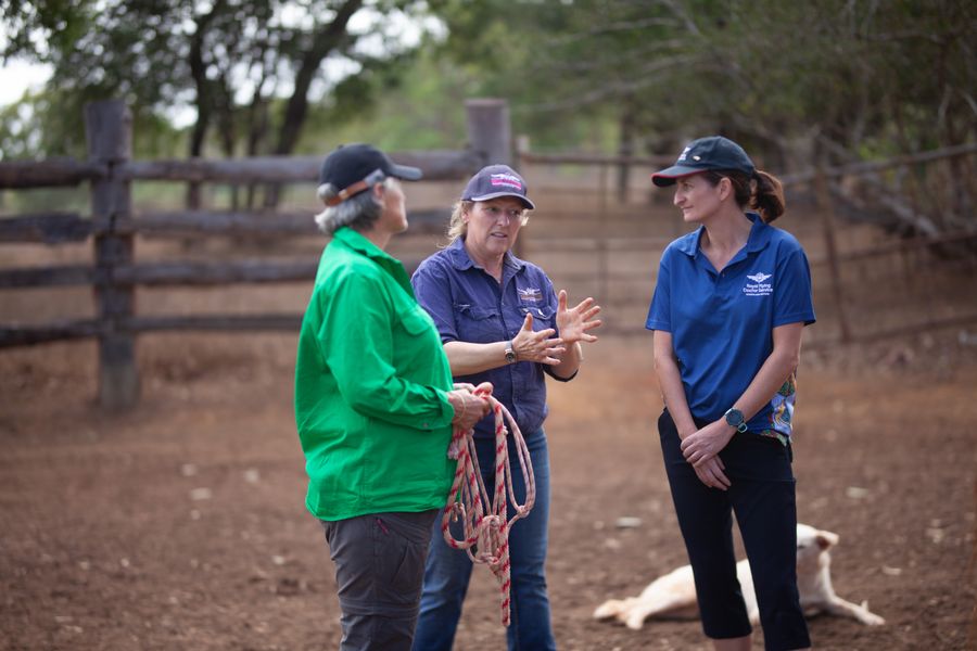 Horse Wisdom Program 