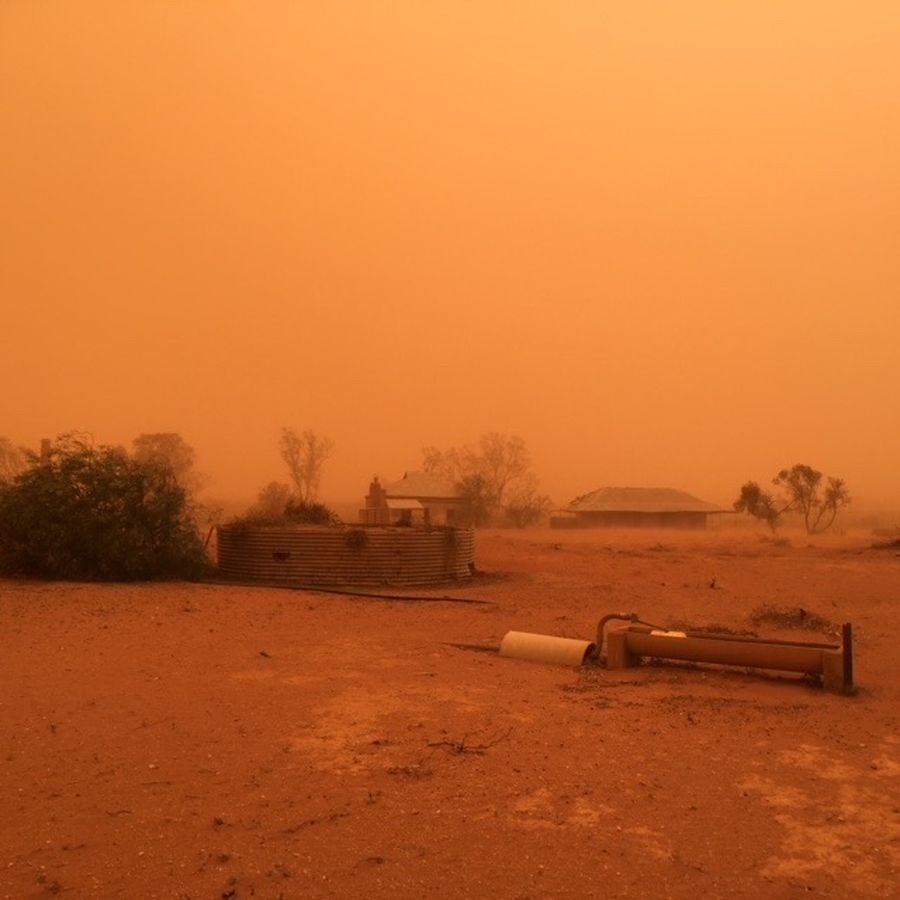 Severe drought was a part of Brenda's daily struggles with mental health