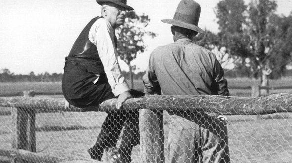 Jimmy Darcy grave