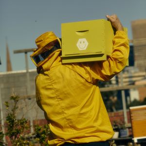 A person wearing a yellow bee suit carrying a yellow hive with a smiley face painted on it