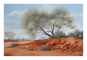 Image of Dry creek near Broken Hill