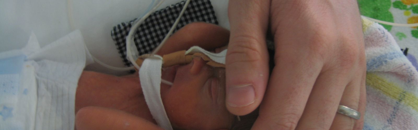 The tiny fingers of a premature baby enclose a mother's hand