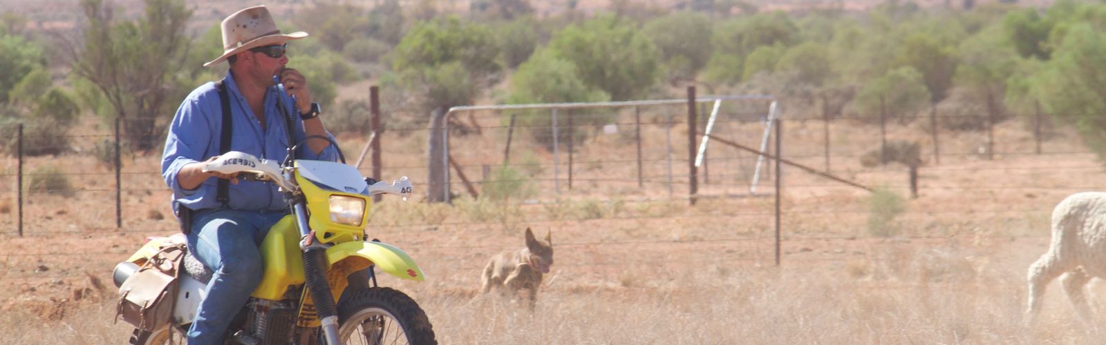 Wes has just released a book of poems and stories