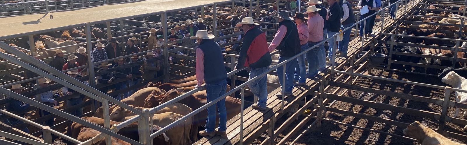 Donation made to RFDS