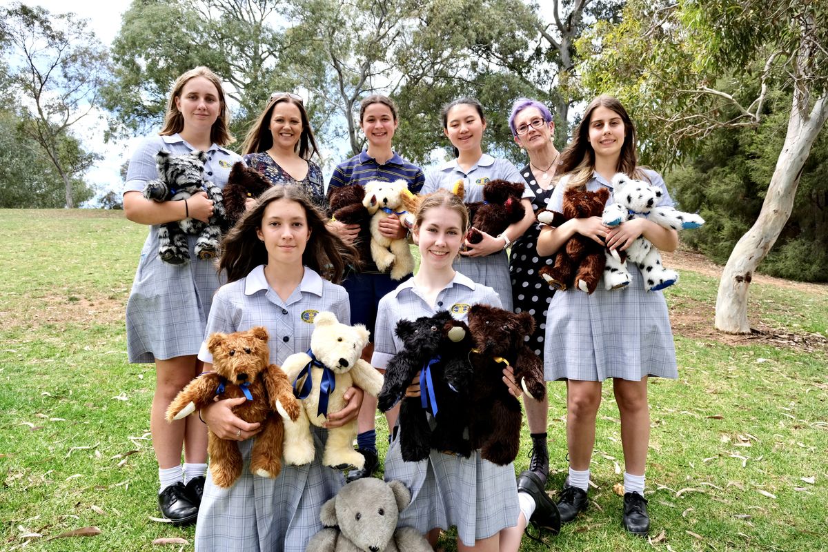 RFDS Pembroke bears