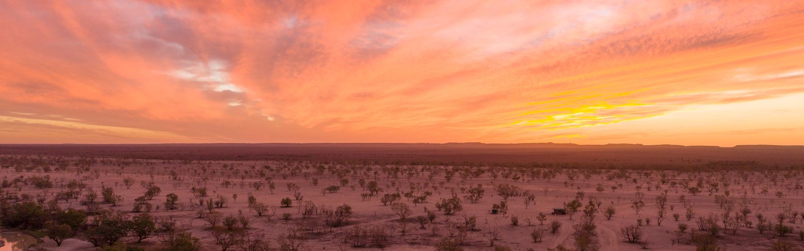 How did Andrew Conlon survive being swallowed by the earth?