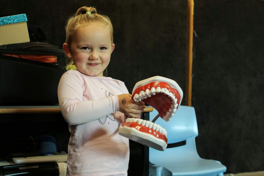 Young child holding model teeth.